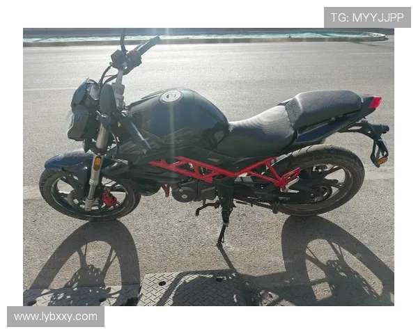 10 款老款旅行摩托车,骑行感受比新车更强劲 10 款老款旅行摩托车,骑行感受比新车更强劲