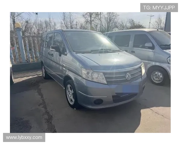 1.6动力拉7座MPV够用吗？试东风新帅客