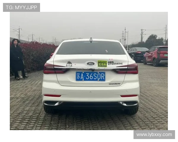 10万买车为什么选择福瑞斯？车主用车心得