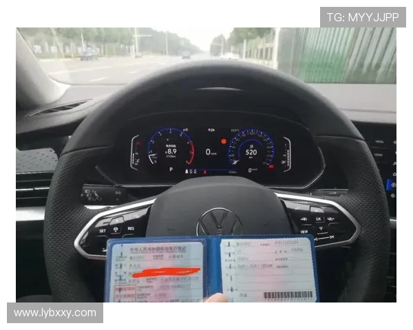 1000天帕萨特相伴:从选车到用车,真实体验全分享 1000天帕萨特相伴:从选车到用车,真实体验全分享