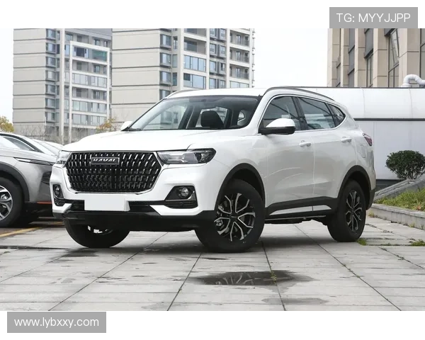 12.5万起的越野版哈弗H6，这辆“硬派”SUV是真的“狗”