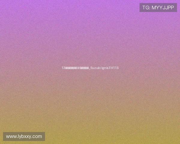 12万元的进口小可爱 丨 铃木英格尼斯_Suzuki Ignis FH11S