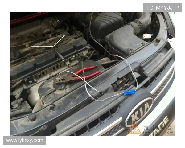 16款智跑三元催化堵了，大家怎么维修的